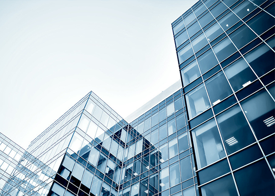  91视频免费在线91视频成人污版